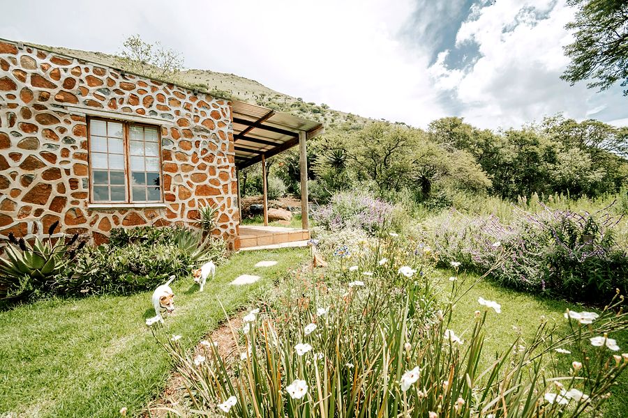 The Cottage and its wildflower garden