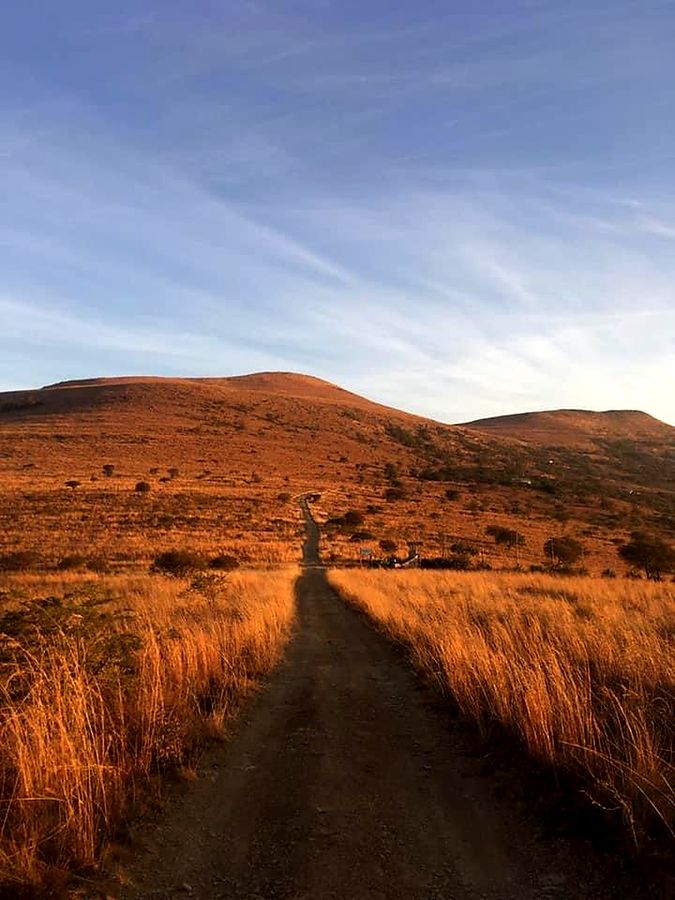 The farm road at golden hour