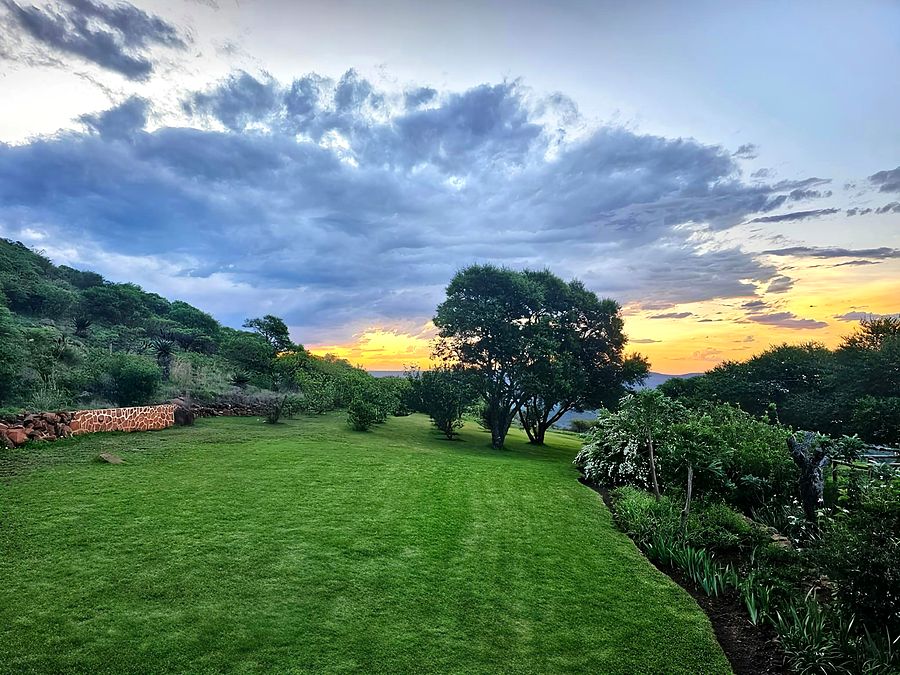 Sunset over the garden