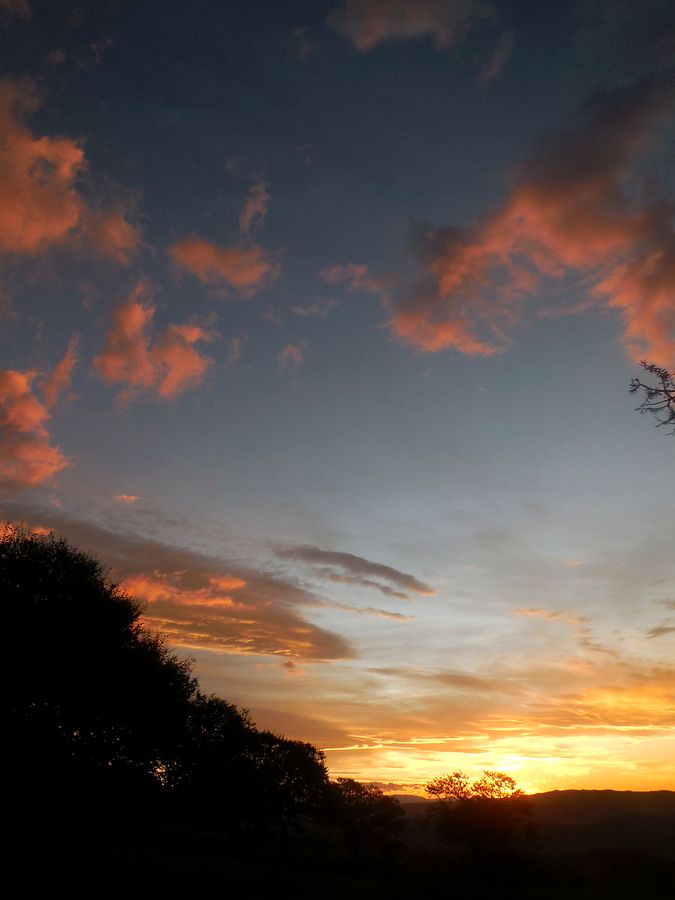Sunset over the bush