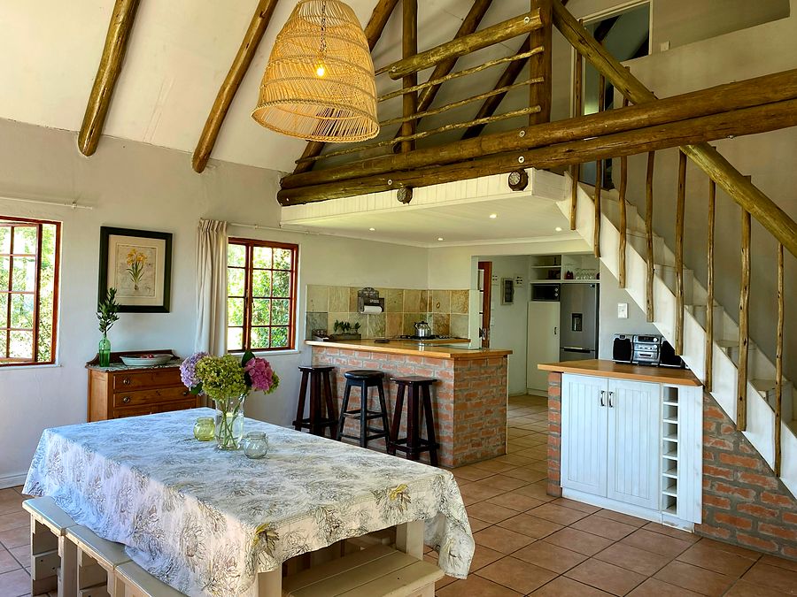 Open-plan dining and kitchen